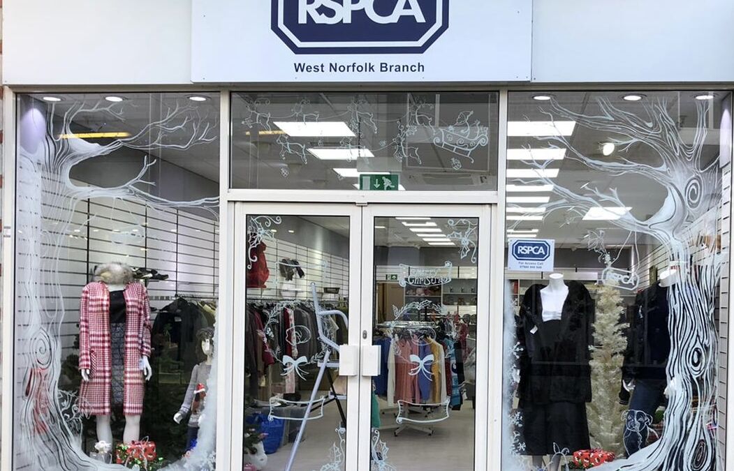 RSPCA New Conduit Street, King’s Lynn